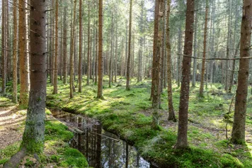 Hållbarhet
